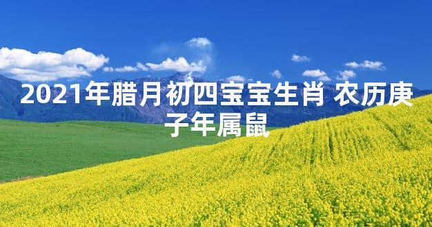 2021年腊月初四宝宝生肖 农历庚子年属鼠